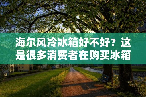 海尔风冷冰箱好不好？这是很多消费者在购买冰箱时考虑的问题。作为国内知名家电品牌，海尔一直以来都在不断地研发和改进冰箱产品，而风冷冰箱是其近年来推出的新型冰箱产品之一。那么，海尔风冷冰箱真的好吗？接下来，我们将从外观、功能、性能等方面进行详细的分析和介绍。