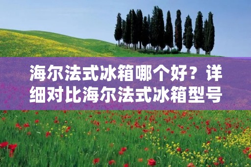 海尔法式冰箱哪个好？详细对比海尔法式冰箱型号