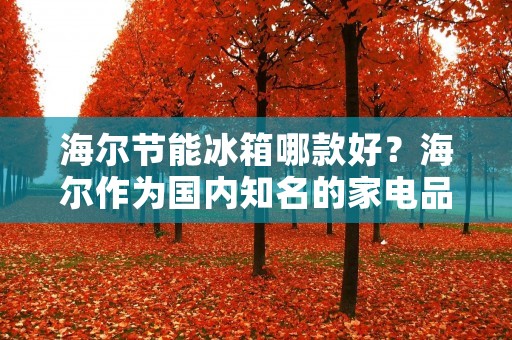 海尔节能冰箱哪款好？海尔作为国内知名的家电品牌，其冰箱产品也备受消费者关注。随着人们对节能环保的重视，海尔节能冰箱成为了越来越多消费者的选择。那么，海尔节能冰箱哪款好呢？我们可以从以下几个方面来了解。
