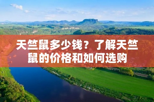 天竺鼠多少钱?了解天竺鼠的价格和如何选购