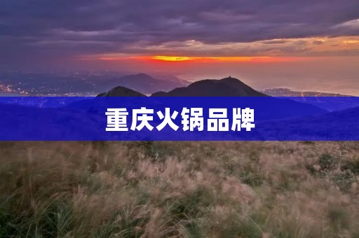 重庆火锅品牌:如何在竞争激烈的市场中脱颖而出?