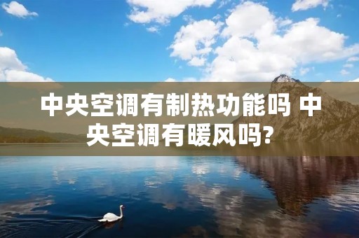 中央空调有制热功能吗 中央空调有暖风吗?