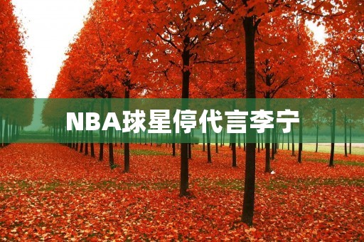 NBA球星停代言李宁:品牌营销的挑战与机遇 NBA球星停代言李宁:品牌营销的挑战与机遇