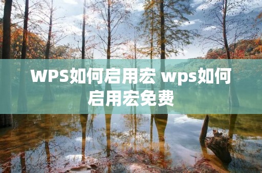 WPS如何启用宏 wps如何启用宏免费