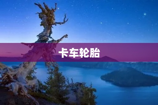 卡车轮胎：如何选择正确的轮胎？