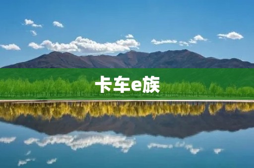 卡车e族:电动时代的新力量 卡车e族:电动时代的新力量