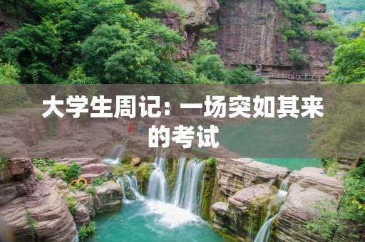 大学生周记: 一场突如其来的考试 大学生周记: 一场突如其来的考试