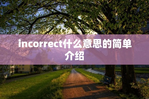 incorrect什么意思的简单介绍