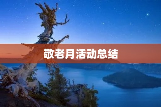敬老月活动总结:感恩老人,传承美德