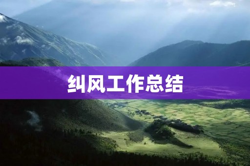 纠风工作总结