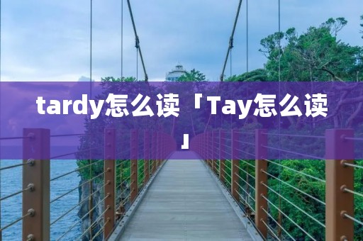tardy怎么读「Tay怎么读」
