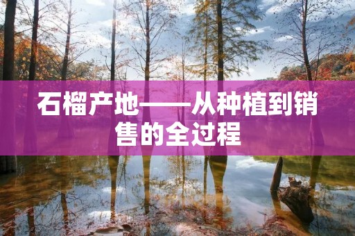 石榴产地——从种植到销售的全过程