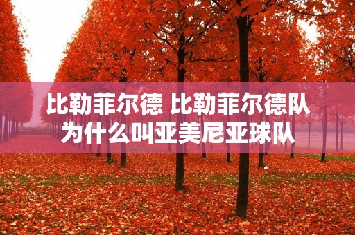 比勒菲尔德 比勒菲尔德队为什么叫亚美尼亚球队 比勒菲尔德 比勒菲尔德队为什么叫亚美尼亚球队