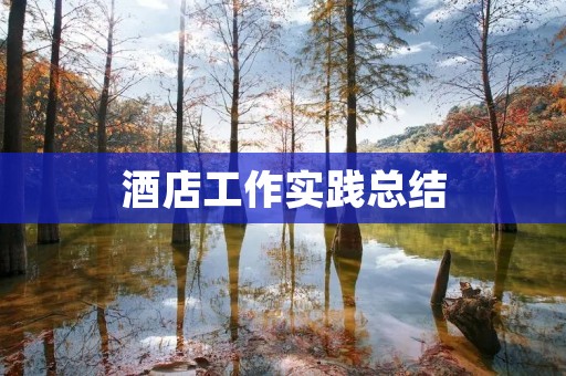 酒店工作实践总结