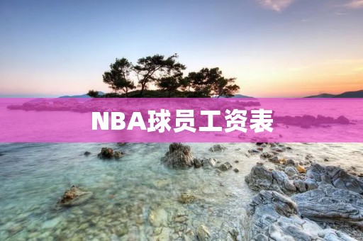 NBA球员工资表:谁是最高薪球员? NBA球员工资表:谁是最高薪球员?