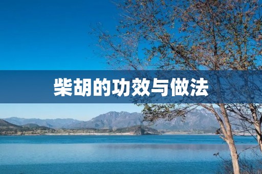 柴胡的功效与做法 柴胡的功效与做法