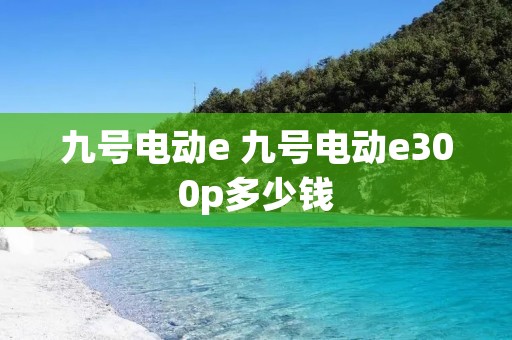 九号电动e 九号电动e300p多少钱 九号电动e 九号电动e300p多少钱