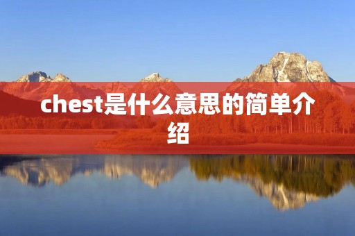 chest是什么意思的简单介绍 chest是什么意思的简单介绍