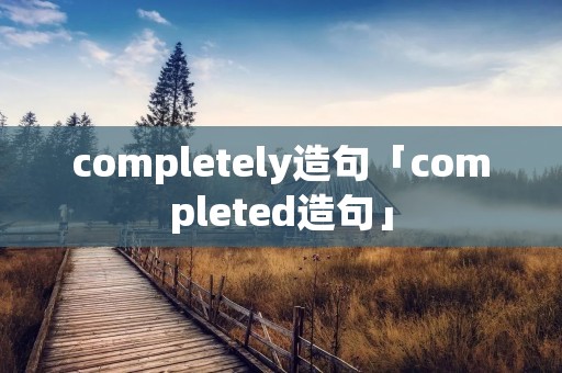 completely造句「completed造句」