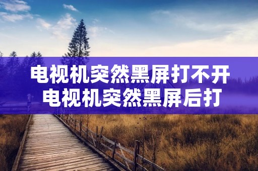 电视机突然黑屏打不开 电视机突然黑屏后打不开