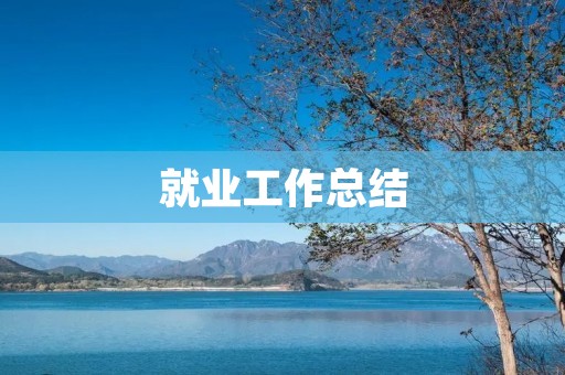 就业工作总结:从大学毕业到职场实践
