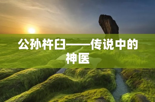 公孙杵臼——传说中的神医 公孙杵臼——传说中的神医