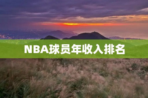 NBA球员年收入排名：顶尖球星的收入究竟有多高？