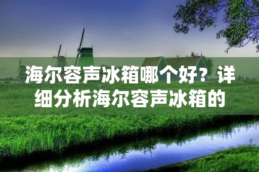 海尔容声冰箱哪个好?详细分析海尔容声冰箱的优缺点 海尔容声冰箱哪个好?详细分析海尔容声冰箱的优缺点