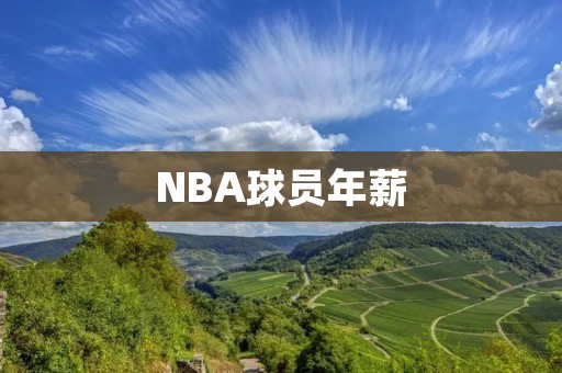 NBA球员年薪：谁是最高薪球员？