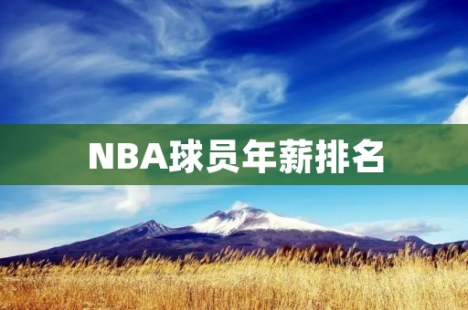 NBA球员年薪排名：谁是最赚钱的球员？