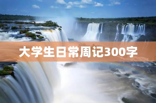 大学生日常周记300字