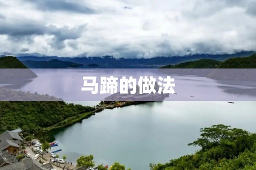马蹄的做法：让你轻松掌握制作技巧