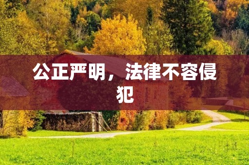 公正严明,法律不容侵犯 公正严明,法律不容侵犯