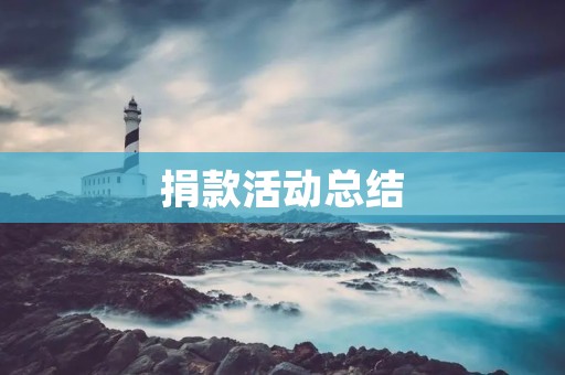 捐款活动总结:让爱心传递,让希望绽放
