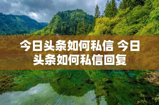 今日头条如何私信 今日头条如何私信回复