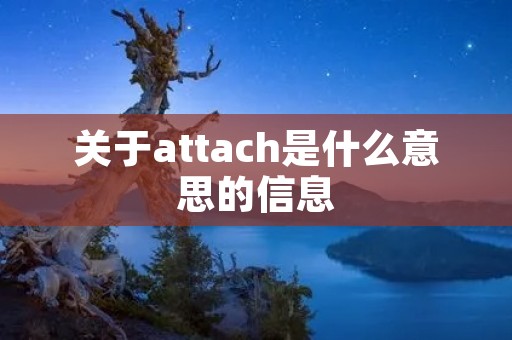 关于attach是什么意思的信息 关于attach是什么意思的信息