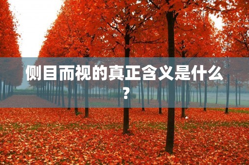 侧目而视的真正含义是什么？