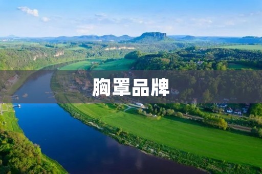 胸罩品牌:如何选择适合自己的?