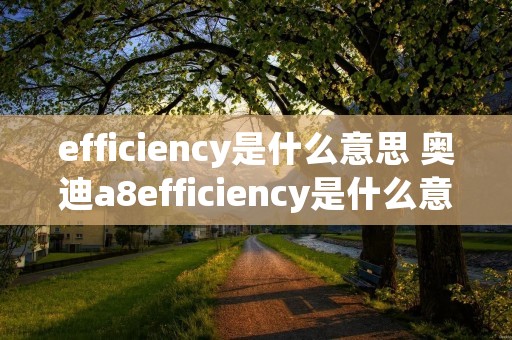efficiency是什么意思 奥迪a8efficiency是什么意思