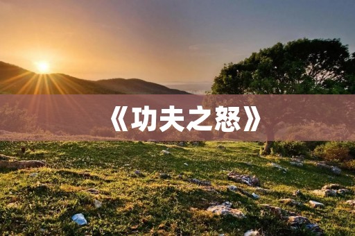 《功夫之怒》：一场华丽的武打盛宴