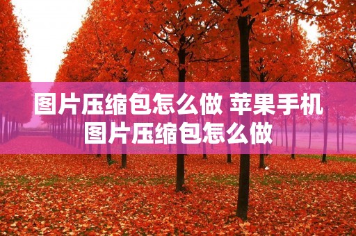 图片压缩包怎么做 苹果手机图片压缩包怎么做