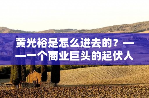 黄光裕是怎么进去的?——一个商业巨头的起伏人生