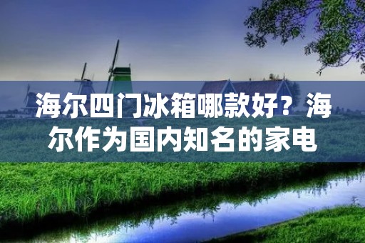 海尔四门冰箱哪款好？海尔作为国内知名的家电品牌，其四门冰箱系列产品备受消费者青睐。但是，针对不同的消费需求，海尔四门冰箱系列产品也有所区别，所以在选择哪款海尔四门冰箱时，需要综合考虑自己的实际需求和预算。下面，本文将从品牌实力、产品细节、售后服务等方面，为您分析哪款海尔四门冰箱最适合您。