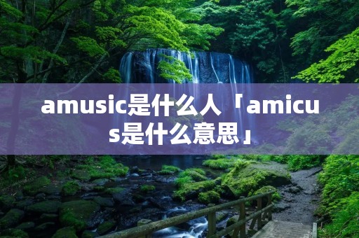 amusic是什么人「amicus是什么意思」 amusic是什么人「amicus是什么意思」