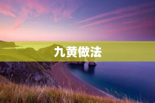 九黄做法:传统中医饮食疗法 九黄做法:传统中医饮食疗法