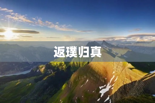 返璞归真:回归本质的生活方式