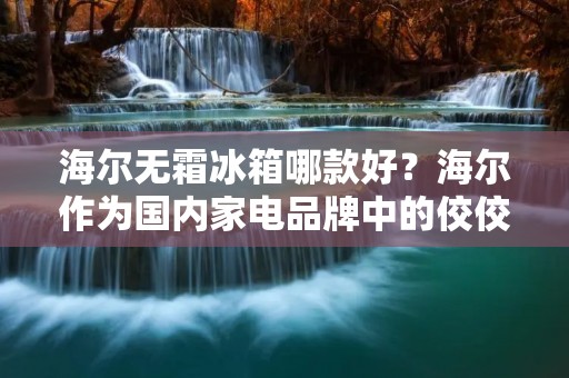 海尔无霜冰箱哪款好?海尔作为国内家电品牌中的佼佼者,其无霜冰箱系列备受消费者喜爱。在市场上,海尔无霜冰箱种类繁多,不同型号的产品性能和价格也各不相同,那么该如何选择最适合自己的一款呢?下面就为大家详细介绍海尔无霜冰箱的选择方法和几款性价比较高的产品,帮助大家选出最好的一款。 海尔无霜冰箱哪款好?海尔作为国内家电品牌中的佼佼者,其无霜冰箱系列备受消费者喜爱。在市场上,海尔无霜冰箱种类繁多,不同型号的产品性能和价格也各不相同,那么该如何选择最适合自己的一款呢?下面就为大家详细介绍海尔无霜冰箱的选择方法和几款性价比较高的产品,帮助大家选出最好的一款。