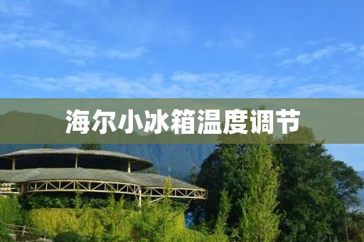 海尔小冰箱温度调节:如何正确设置温度? 海尔小冰箱温度调节:如何正确设置温度?