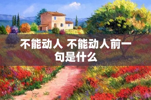 不能动人 不能动人前一句是什么