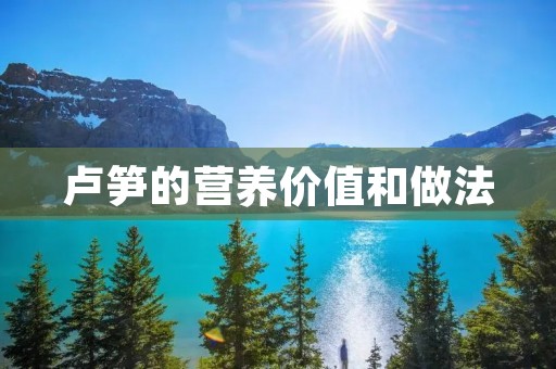 卢笋的营养价值和做法
